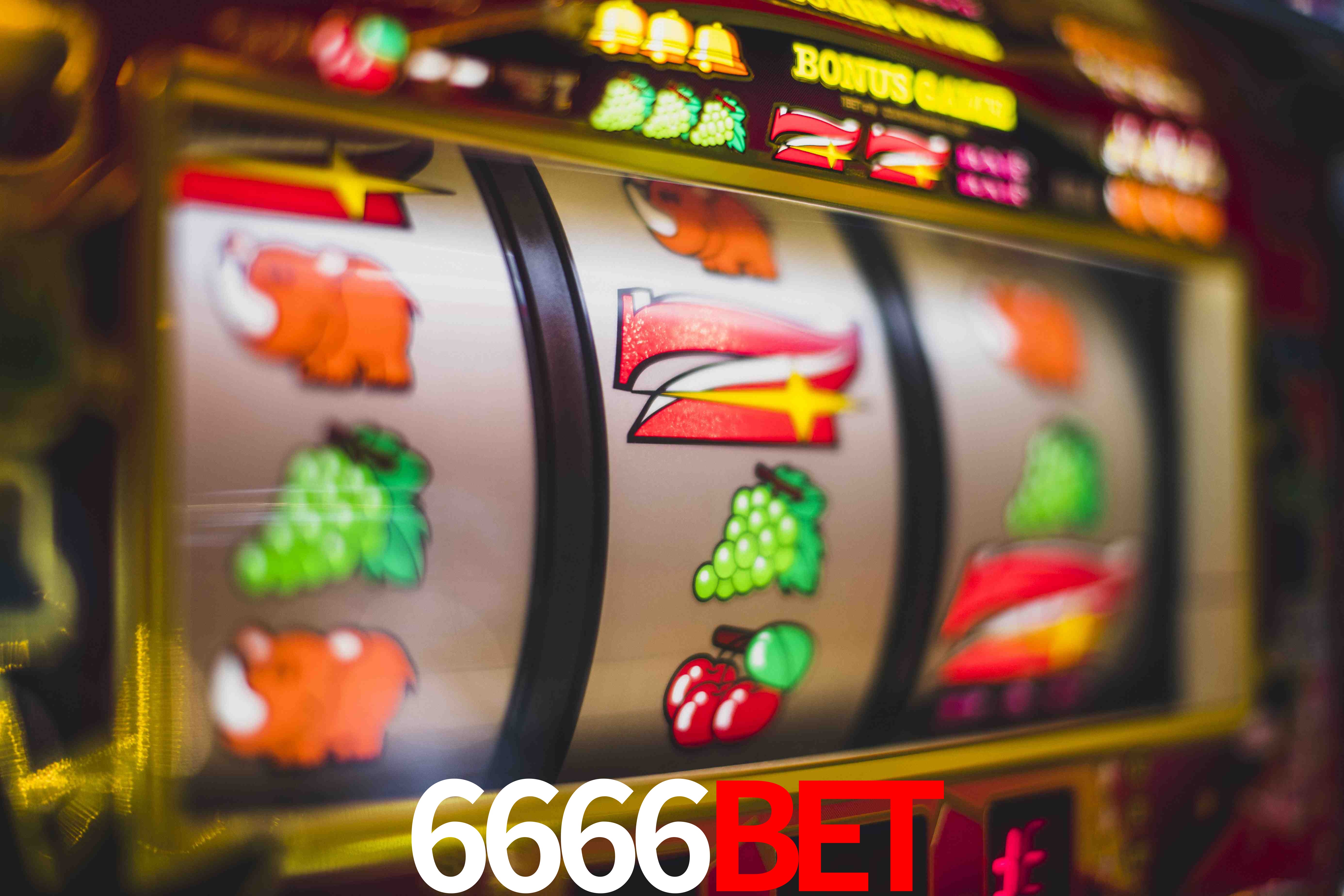 Statistics 6666BET